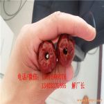 ½ȥ˙Ctȥ˙Cඬȥ˙C
