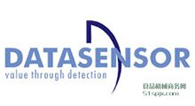 DATASENSOR ҕX(ju)