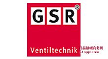 GSR Ventiltechnik늴y y