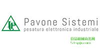 Pavone Sistemi/Q؂/Q׃