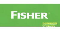 EMERSON FISHERxy/y/ȫy/(zh)/λ