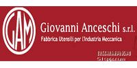 Anceschi ƷƽB