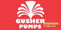(gu)GUSHER/xı/ѭh(hun)